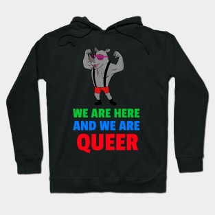 we are here and we are queer Hoodie